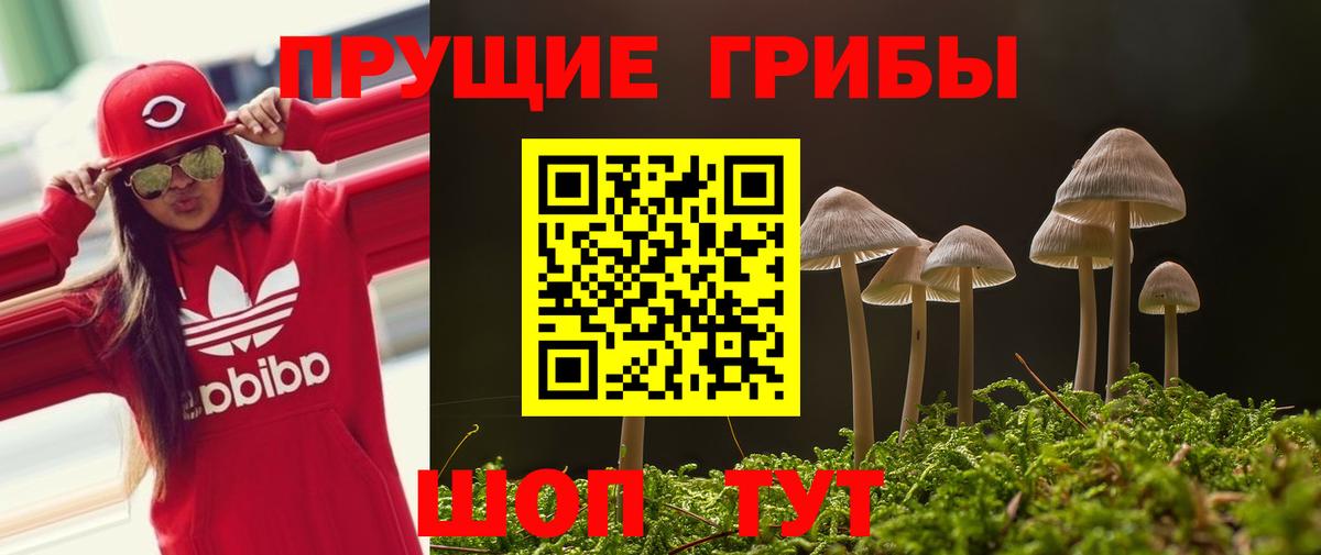 Галлюциногенные грибы прущие грибы Махачкала